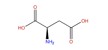 (R)-2-Aminobutanedioic acid